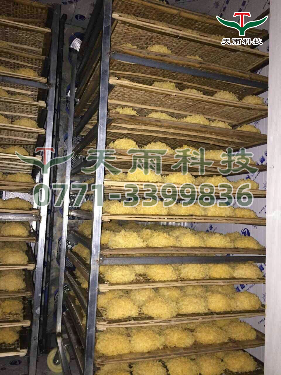 mmexport1482805163467.jpg mmexport1482805163467.jpg