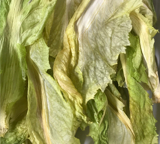 微信截圖_20210322112955.png 微信截圖_20210322112955.png