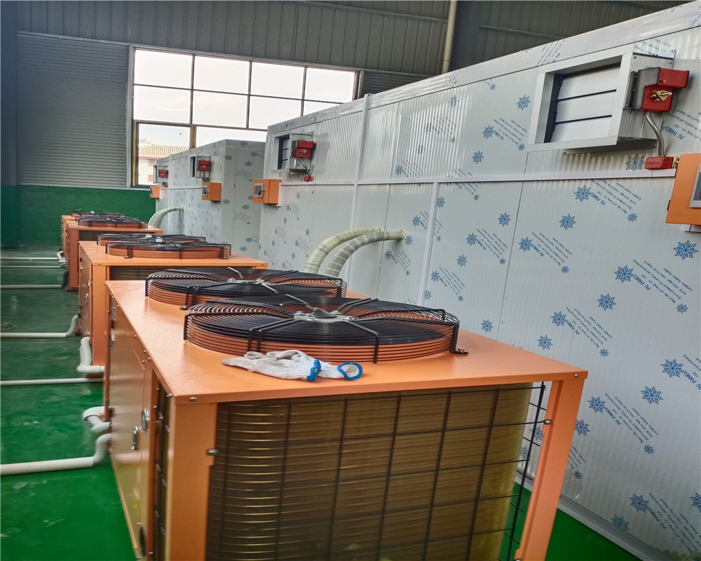 荔枝、龍眼、堅(jiān)果烘干機(jī)02_副本