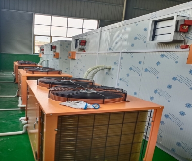 荔枝、龍眼、堅(jiān)果烘干機(jī)