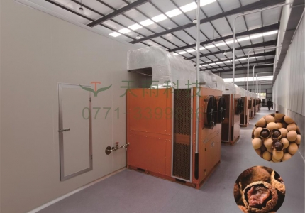 龍眼、荔枝烘干