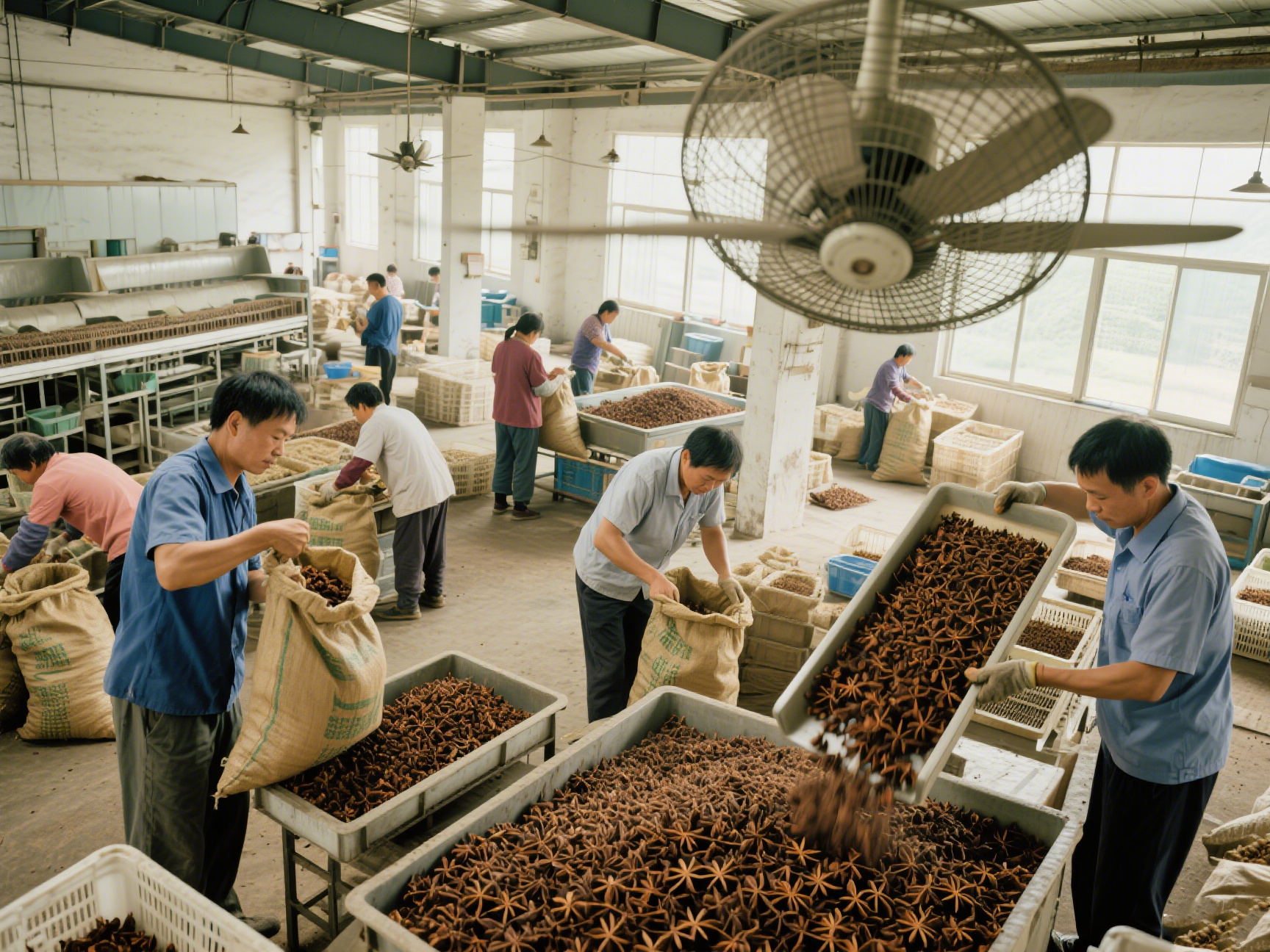 雨季八角鮮果快速烘干 (8).png 雨季八角鮮果快速烘干 (8).png